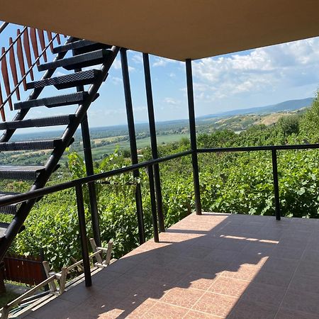 Feher Szolo Vendeghaz Sátoraljaújhely Exteriör bild