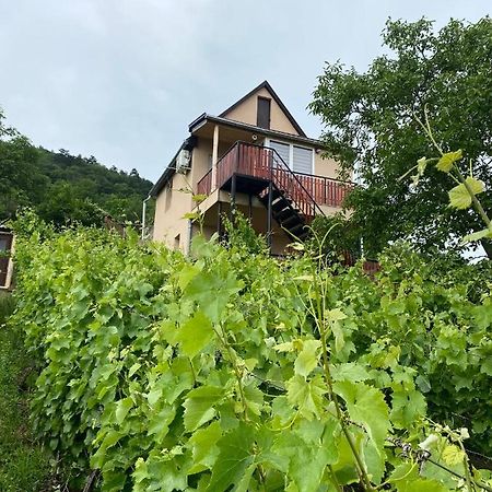 Feher Szolo Vendeghaz Sátoraljaújhely Exteriör bild