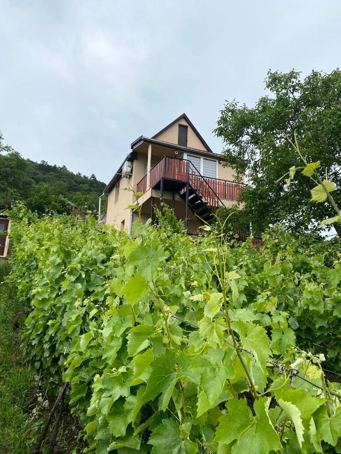 Feher Szolo Vendeghaz Sátoraljaújhely Exteriör bild